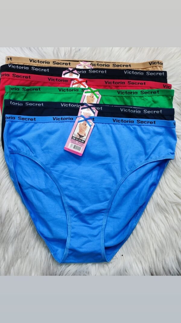 V/S. medium cut panties